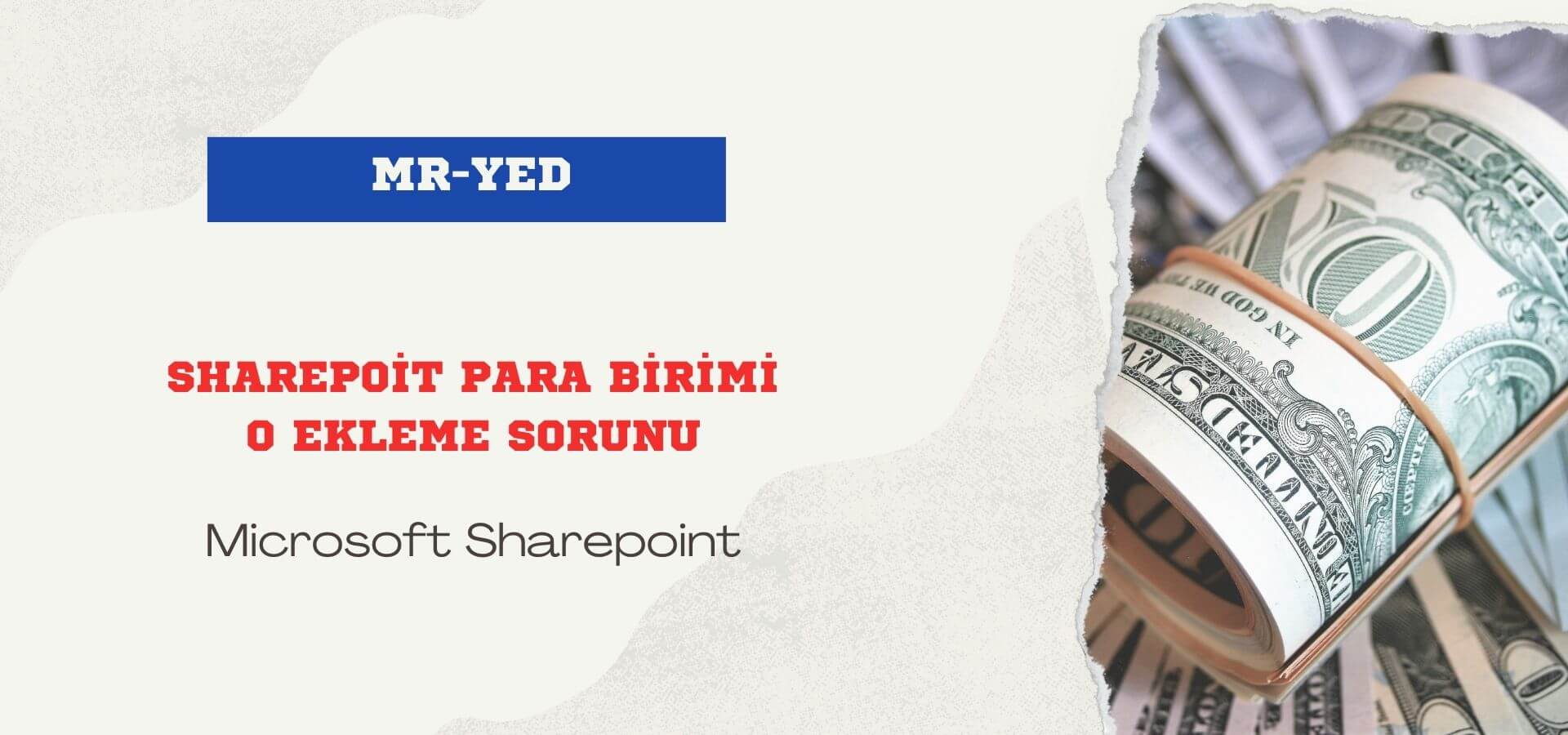 sharepoint-listesi-para-birimi-sorunu